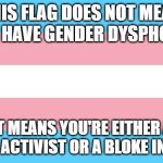 Representing | THIS FLAG DOES NOT MEAN YOU HAVE GENDER DYSPHORIA; IT MEANS YOU'RE EITHER A TRANS ACTIVIST OR A BLOKE IN A WIG | image tagged in trans flag | made w/ Imgflip meme maker