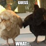 chicken butt | GUESS; WHAT . . | image tagged in chicken butt | made w/ Imgflip meme maker