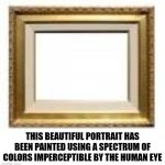 Imperceptible:  Impossible To Perceive | THIS BEAUTIFUL PORTRAIT HAS BEEN PAINTED USING A SPECTRUM OF COLORS IMPERCEPTIBLE BY THE HUMAN EYE | image tagged in picture frame,imperceptible,perception,its blank,lol,memes | made w/ Imgflip meme maker