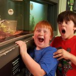 Snake at da zoo