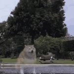 appearing GIF Template