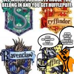 The Hogwarts Houses | WHEN YOU TAKE A QUIZ TO SEE WHICH HOGWARTS HOUSE YOU BELONG IN AND YOU GET HUFFLEPUFF. NO BRO THAT'S NOT FUNNY! I WANTED TO BE IN SLYTHERIN! DUDE I GOT RAVENCLAW! HAHA YOUR A LOSER | image tagged in the hogwarts houses | made w/ Imgflip meme maker