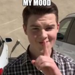 My spirit animal | MY MOOD | image tagged in young sheldon mewing | made w/ Imgflip meme maker