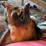 Exorcism