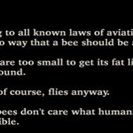 Bee movie introduction speech