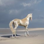 White horse