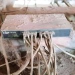 dusty switch