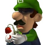 Wilted rose luigi