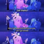 Emperors new groove