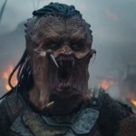 New Predator