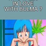 who falls in love with bulma ?
