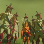 Five Zora One Hylian meme