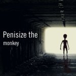 Penisize the monkey