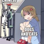 Anime Girl Hiding from Terminator | CHINESE; DOGS AND CATS | image tagged in anime girl hiding from terminator | made w/ Imgflip meme maker