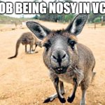 Nosy Kangaroo | BOB BEING NOSY IN VCC | image tagged in nosy kangaroo | made w/ Imgflip meme maker