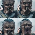 girl predator