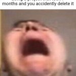 . | That feeling when your doing a project that took 7 months and you accidently delete it | image tagged in why | made w/ Imgflip meme maker