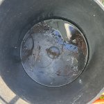 Lizard bucket