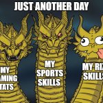 Three-headed Dragon | JUST ANOTHER DAY; MY SPORTS SKILLS; MY RIZZ SKILLS; MY GAMING STATS | image tagged in three-headed dragon | made w/ Imgflip meme maker