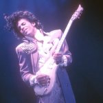 Prince Shred