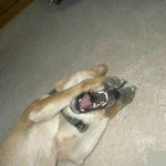 Eyes! My eyes!
