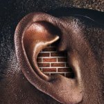 Bricks in ear