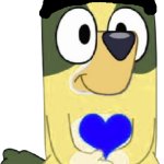 Kevin Nyltick