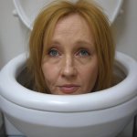 Rowling in a toilet cubicle