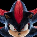 Shadow The Hedgehog