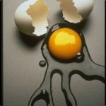 Bro my egg bro fuck template