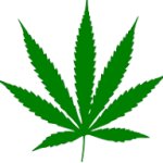 420 leaf