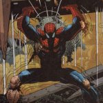 Spiders George