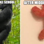 #relatable | AFTER MIDDLE SCHOOL; BEFORE MIDDLE SCHOOL | image tagged in harambe cheeto | made w/ Imgflip meme maker