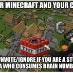 Remember the MEMORIES! | UPVOTE FOR MINECRAFT AND YOUR CHILDHOOD; DOWNVOTE/IGNORE IF YOU ARE A STUPID SOCIAL MEDIA WHO CONSUMES BRAIN NUMBING CONTENT | image tagged in pain with tnt,nostalgia,minecraft | made w/ Imgflip meme maker