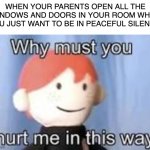Anyone else relate? | WHEN YOUR PARENTS OPEN ALL THE WINDOWS AND DOORS IN YOUR ROOM WHEN YOU JUST WANT TO BE IN PEACEFUL SILENCE: | image tagged in why must you hurt me in this way | made w/ Imgflip meme maker