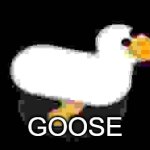 GOOSE