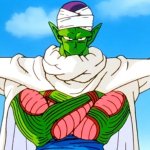 Piccolo template