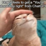 ChatGPT Praise | How it feels to get a "You're absolutely right" from ChatGPT | image tagged in cat being pet | made w/ Imgflip meme maker