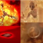 LOTR reference