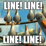 Mine Birds | LINE! LINE! LINE! LINE! | image tagged in mine birds | made w/ Imgflip meme maker