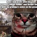 SMOKE BOMB! (Dark Humour) | How I look at bro after he screams "SMOKE BOMB!" and throws the urn with my grandpa's ashes on the ground | image tagged in soldier cat | made w/ Imgflip meme maker