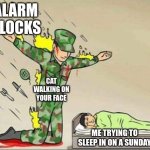 Soldier protecting sleeping child | ALARM CLOCKS; CAT WALKING ON YOUR FACE; ME TRYING TO SLEEP IN ON A SUNDAY | image tagged in soldier protecting sleeping child | made w/ Imgflip meme maker