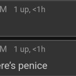 good lord there's penice meme