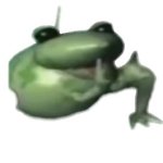 Praying Frog