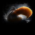 Realistic angry bird mighty eagle