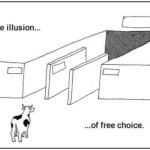the illusion of choice (3 paths)