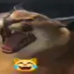floppa laugh