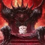 doom cat