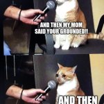Cat interview crying | AND THEN MY MOM SAID YOUR GROUNDED!! AND THEN I WAS LIKE: | image tagged in cat interview crying | made w/ Imgflip meme maker