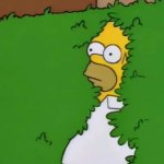 Homer in bush